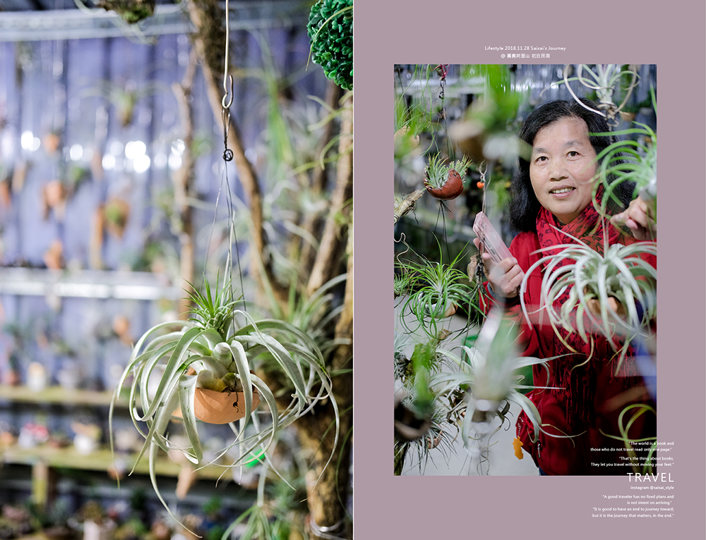 阿里山初日 初日民宿 嘉義阿里山民宿 民宿推薦 阿里山民宿 阿里山住宿 嘉義住宿 Saisai%5Cs Journey18.png 阿里山初日 初日民宿 嘉義阿里山民宿 民宿推薦 阿里山民宿 阿里山住宿 嘉義住宿 Saisai%5Cs Journey18.png