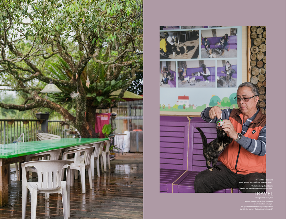 阿里山初日 初日民宿 嘉義阿里山民宿 民宿推薦 阿里山民宿 阿里山住宿 嘉義住宿 Saisai%5Cs Journey24.png 阿里山初日 初日民宿 嘉義阿里山民宿 民宿推薦 阿里山民宿 阿里山住宿 嘉義住宿 Saisai%5Cs Journey24.png