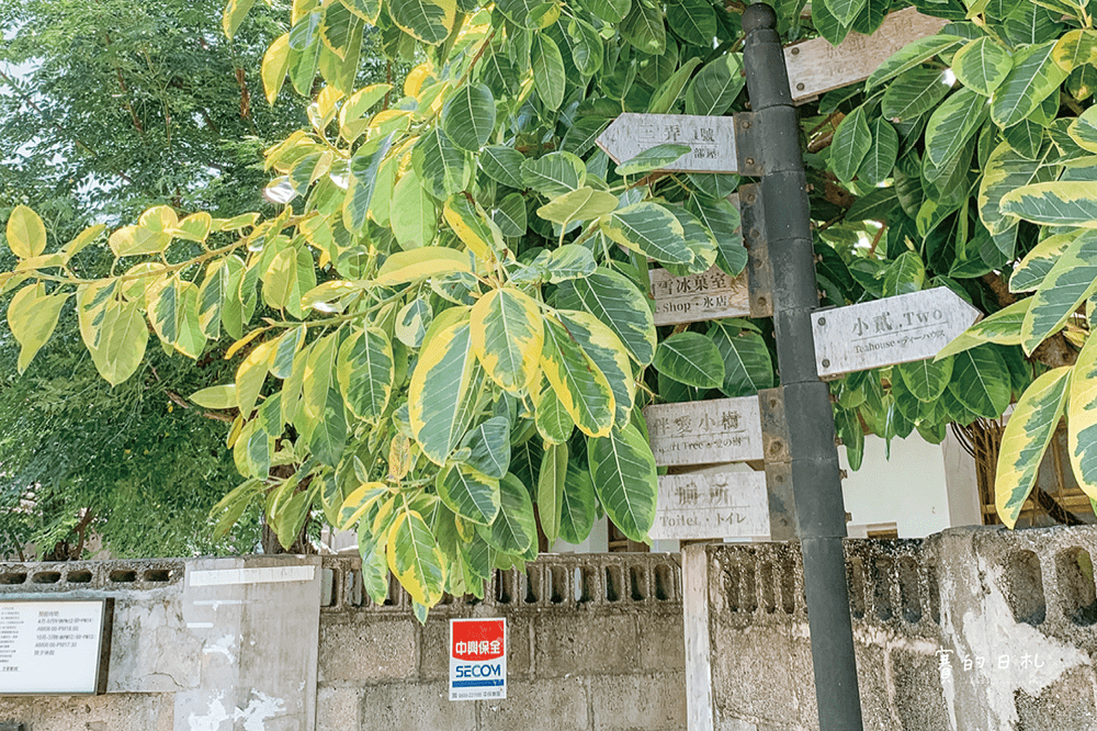 冠淳旅行社 澎湖自助 澎湖旅遊 澎湖旅行社推薦 布袋港 嘉義到澎湖 坐船到澎湖 仙人掌冰 賽的日札14-min.png