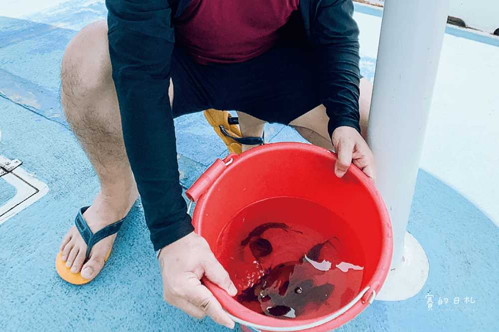 冠淳旅行社 澎湖自助 澎湖旅遊 澎湖旅行社推薦 布袋港 嘉義到澎湖 坐船到澎湖 仙人掌冰 賽的日札58-min.png