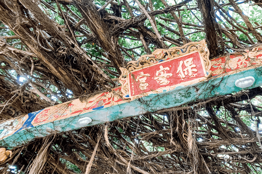 冠淳旅行社 澎湖自助 澎湖旅遊 澎湖旅行社推薦 布袋港 嘉義到澎湖 坐船到澎湖 仙人掌冰 賽的日札68-min.png