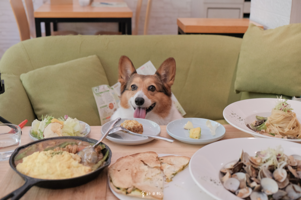 森林小徑文心店 台中寵物友善餐廳 是親子友善 亦是寵物友善 餐點好吃 Cp值高 隨便點都無地雷 賽的日札