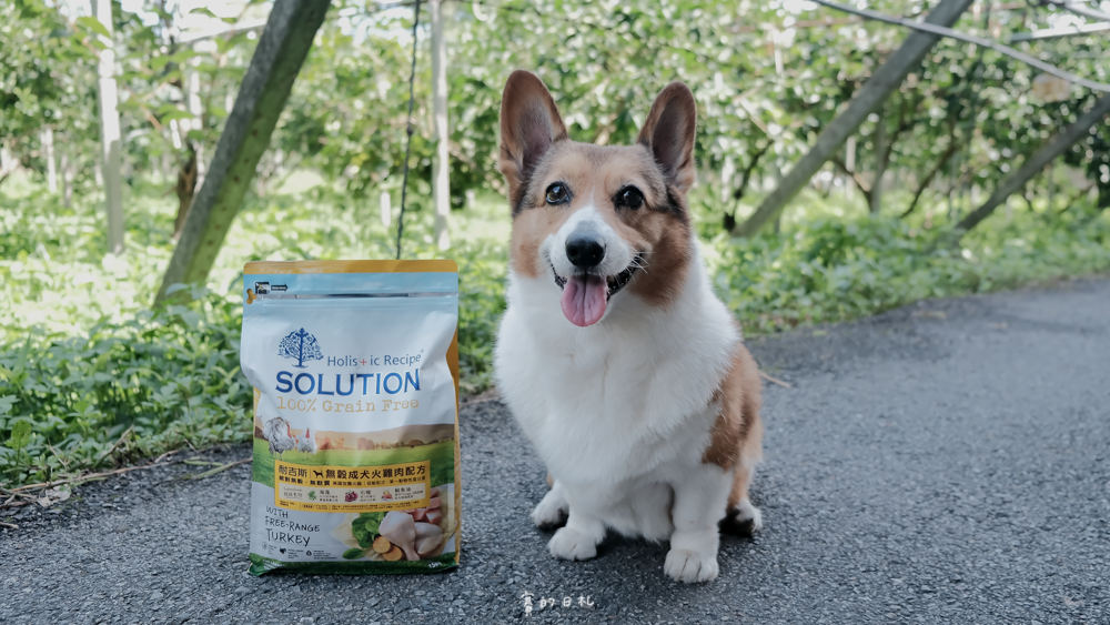 耐吉斯 超級無穀系列 低GI 無穀 低過敏 天然糧 毛孩皮膚 皮毛柔亮 omega-3脂肪酸 賽的日札-15.png 耐吉斯 超級無穀系列 低GI 無穀 低過敏 天然糧 毛孩皮膚 皮毛柔亮 omega-3脂肪酸 賽的日札-15.png