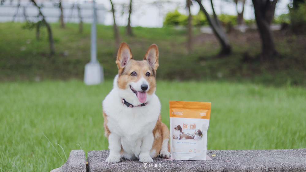 威旺 傑凱寵物專用潔膚巾wewant 威旺特派員 寵物濕紙巾 以色列製造_-6.png 威旺 傑凱寵物專用潔膚巾wewant 威旺特派員 寵物濕紙巾 以色列製造_-6.png