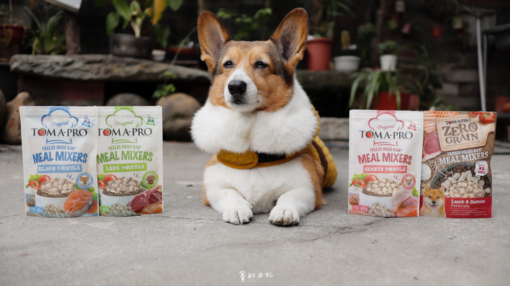 優格寵物食譜 嗜口性佳 鮮肉佐餐凍乾 挑食狗推薦 益生菌 藜麥 低敏-24.png 優格寵物食譜 嗜口性佳 鮮肉佐餐凍乾 挑食狗推薦 益生菌 藜麥 低敏-24.png