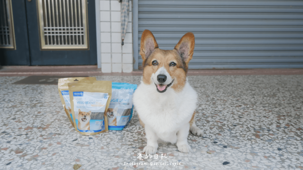 VIRBAC 法國維克-VOHC認證寵物潔齒嚼片C.E.T.® 植物性潔齒嚼片 寵物用品 寵物潔牙-30-min.png VIRBAC 法國維克-VOHC認證寵物潔齒嚼片C.E.T.® 植物性潔齒嚼片 寵物用品 寵物潔牙-30-min.png