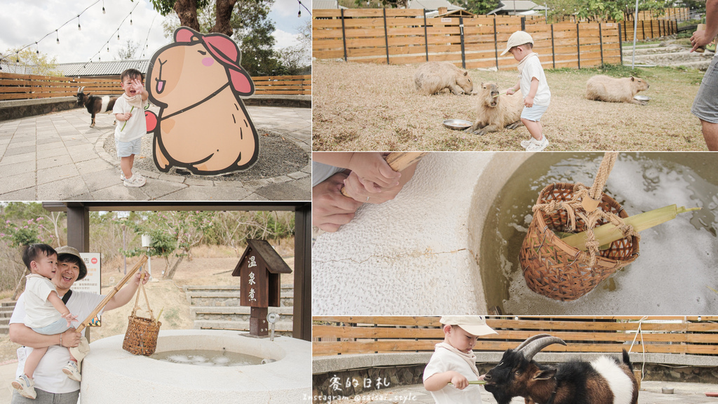 四重溪溫泉公園｜屏東恆春｜墾丁親子新景點！超可愛的水豚君、株