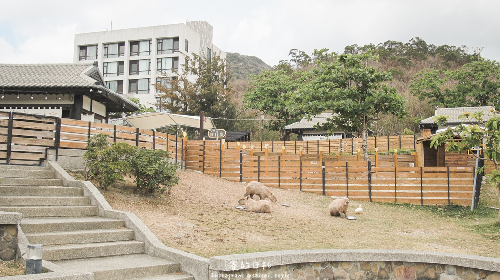 四重溪溫泉公園｜屏東恆春｜墾丁親子新景點！超可愛的水豚君、株