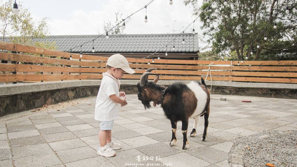 四重溪溫泉公園｜屏東恆春｜墾丁親子新景點！超可愛的水豚君、株