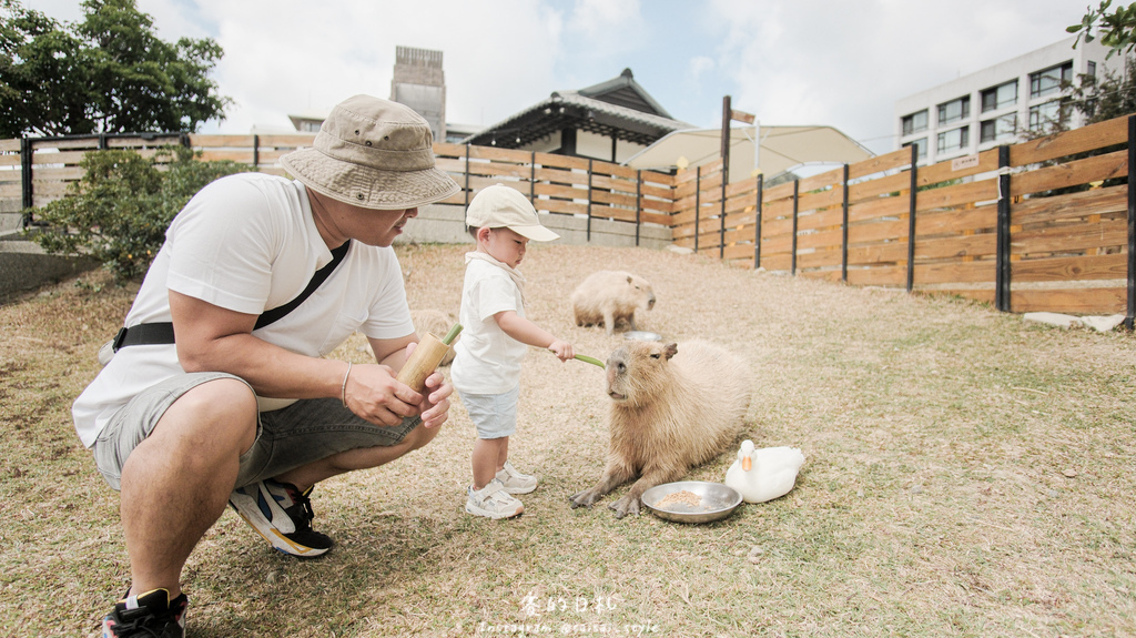 四重溪溫泉公園｜屏東恆春｜墾丁親子新景點！超可愛的水豚君、株