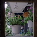 20100522-RIMG0165.jpg