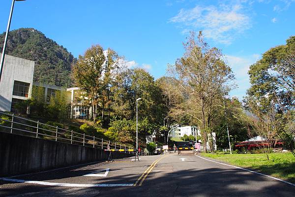 OLYMPUS DIGITAL CAMERA_489 OLYMPUS DIGITAL CAMERA_489