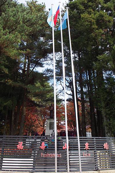 OLYMPUS DIGITAL CAMERA_1190 OLYMPUS DIGITAL CAMERA_1190