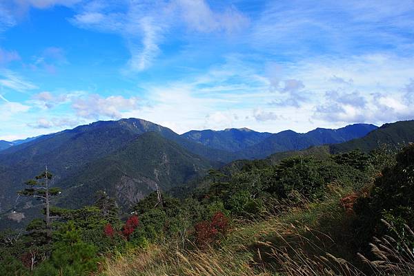 OLYMPUS DIGITAL CAMERA_1226 OLYMPUS DIGITAL CAMERA_1226