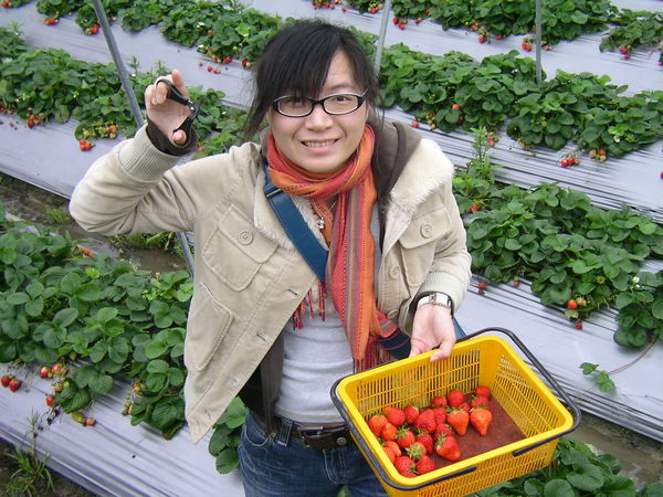 2007.4.3 @ 大湖採草莓