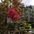 20230510-4.jpg