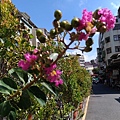 20230510-7.jpg