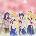 The Inner Senshi in Sailor Suit