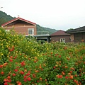 漂亮花園