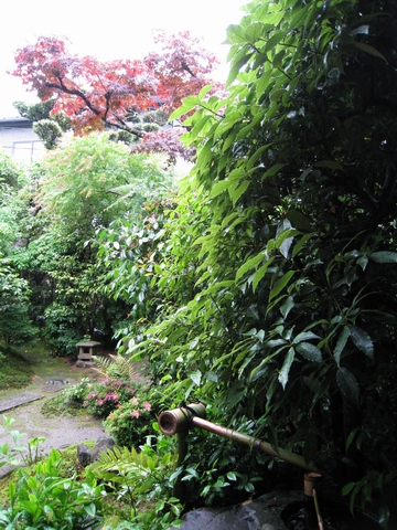 日式庭院