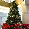 11月飯店就擺上了聖誕樹