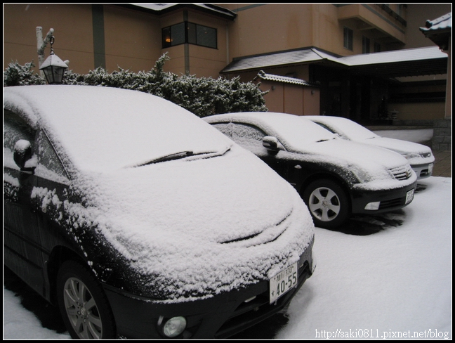 下了一晚的雪，都被覆蓋了