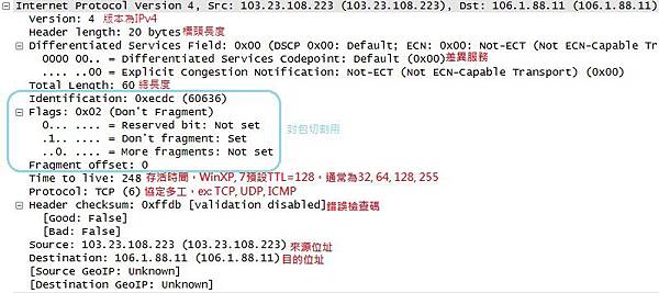 IPv4標頭實例