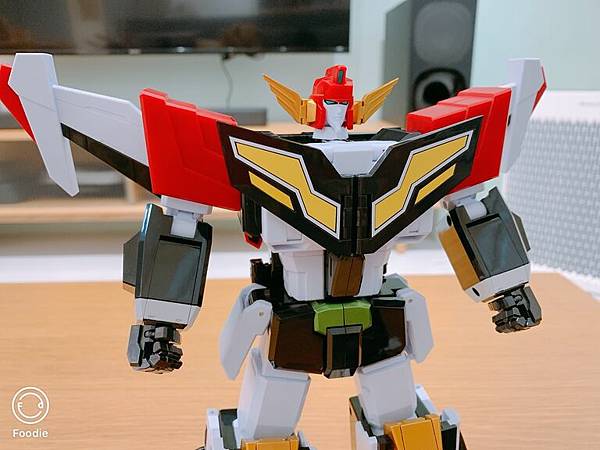 THE合體-雷鳥-近照.JPG THE合體-雷鳥-近照.JPG