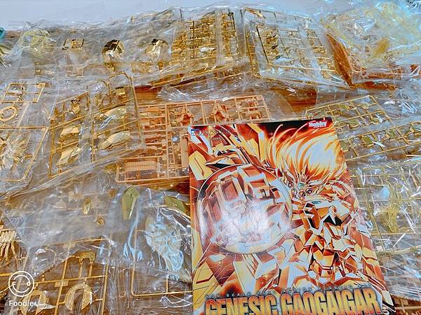 金色破壞神-全部內容物.JPG 金色破壞神-全部內容物.JPG