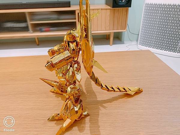 金色破壞神-左側.JPG 金色破壞神-左側.JPG