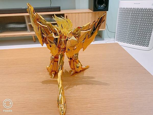 金色破壞神-背面.JPG 金色破壞神-背面.JPG