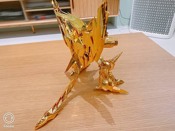 金色破壞神-右側.JPG 金色破壞神-右側.JPG