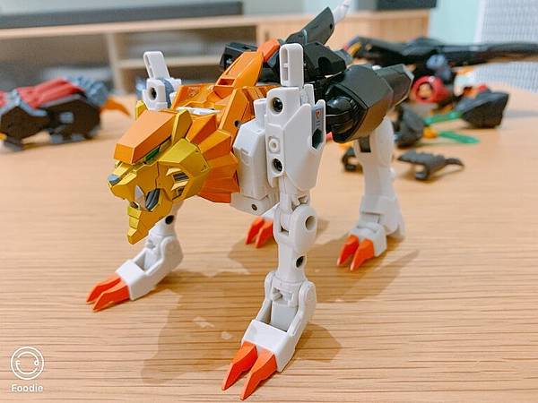 始源伽利歐.JPG 始源伽利歐.JPG