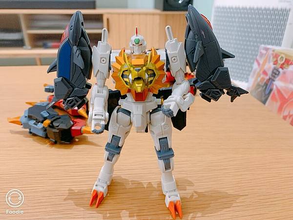 兩臂合體.JPG 兩臂合體.JPG