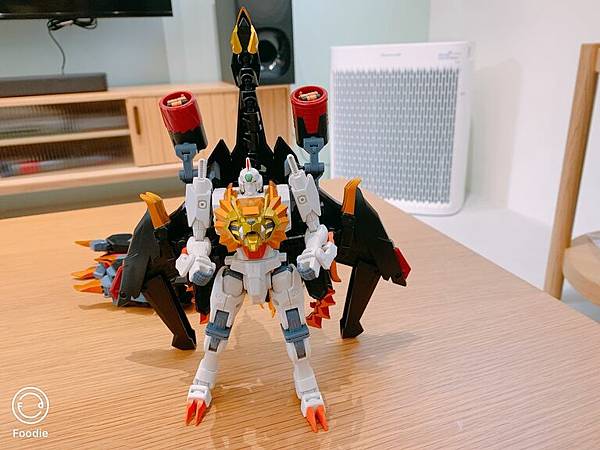 單獨合體.JPG 單獨合體.JPG