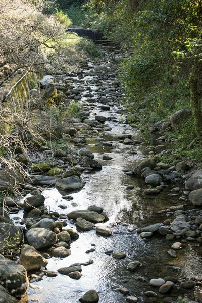 2022.01.08 鮭魚葡萄-梅花隧道 (34).jpg