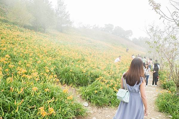 2023.08.20太麻里金針山 (4).jpg