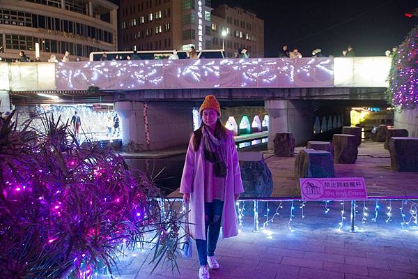 2023.12.24 柳川水岸步道【柳川藍帶水岸】 (11).jpg