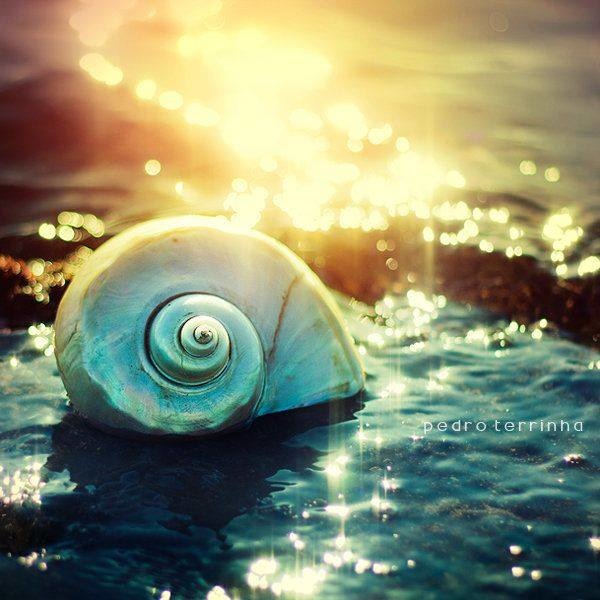 12347763_663371107138242_5157471232290024708_n.jpg 12347763_663371107138242_5157471232290024708_n.jpg