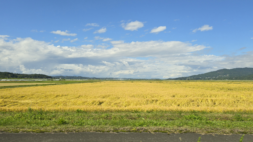 [岩手] 包車一日遊(仙台出發)~嚴美溪、達谷窟毘沙門堂、良