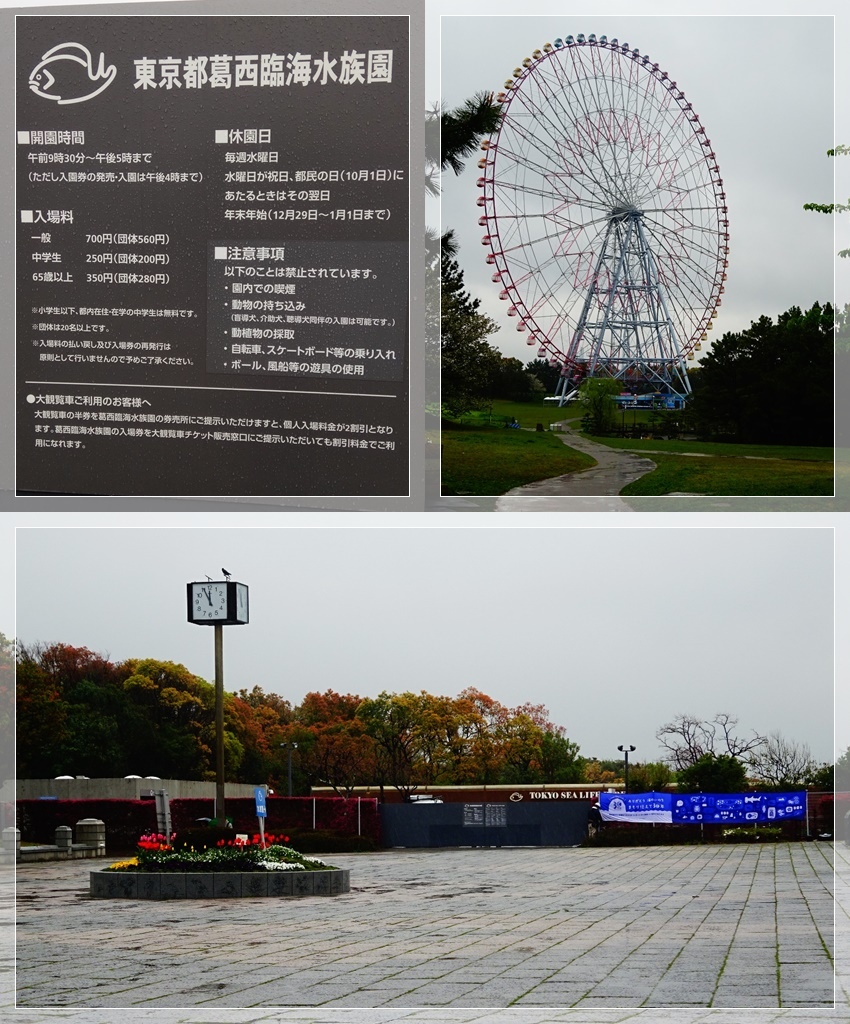 就不該為了雨天換行程 遇到葛西臨海水族園休館19 4 10 ヨホンホン 痞客邦