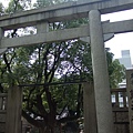 難波神社 我抽到兇= =