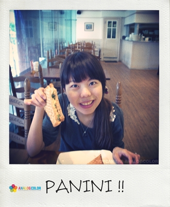 PANINI