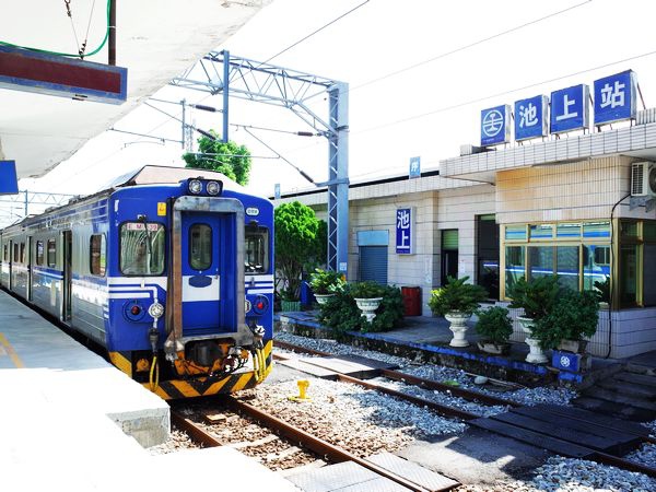 20140927 台東池上伯朗大道 12.jpg