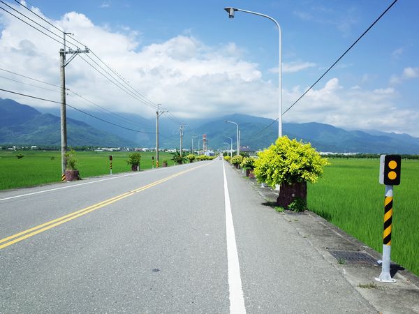 20140927 台東池上伯朗大道 59.jpg