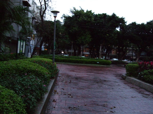 2007_0107年初二亂拍0016.JPG