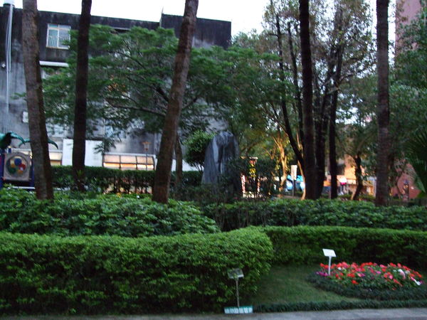 2007_0107年初二亂拍0019.JPG