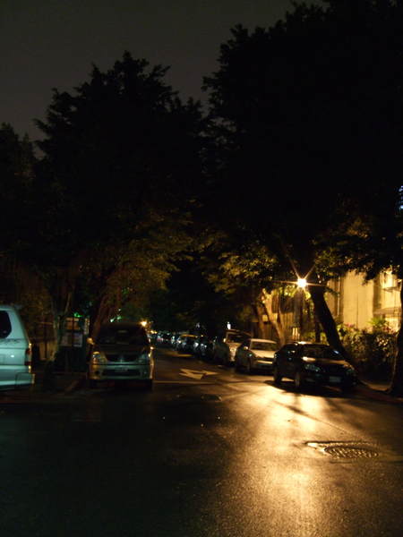 2007_0107年初二亂拍0102.JPG