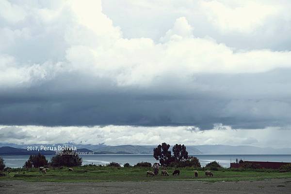 peru_DSC05365.jpg