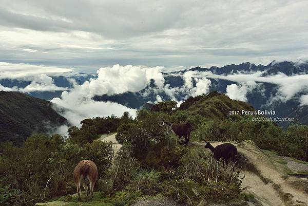 peru_DSC_2662.jpg